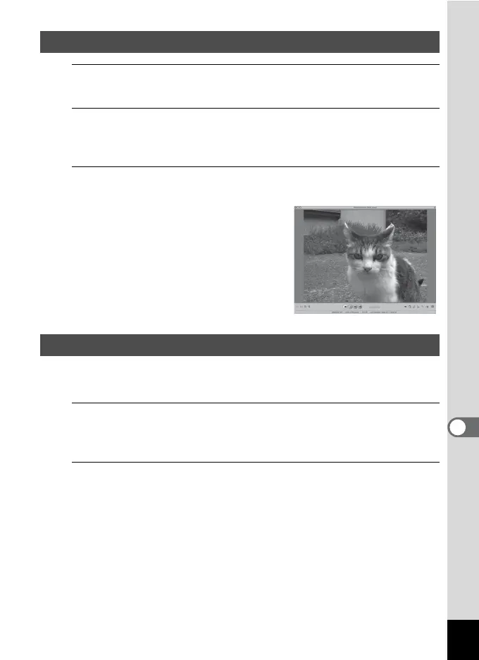 Page #265 background image