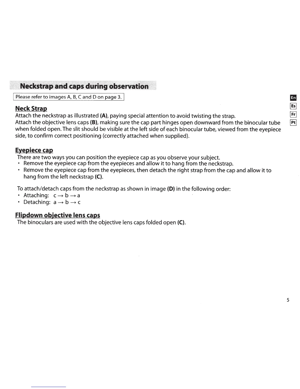 Page #5 background image