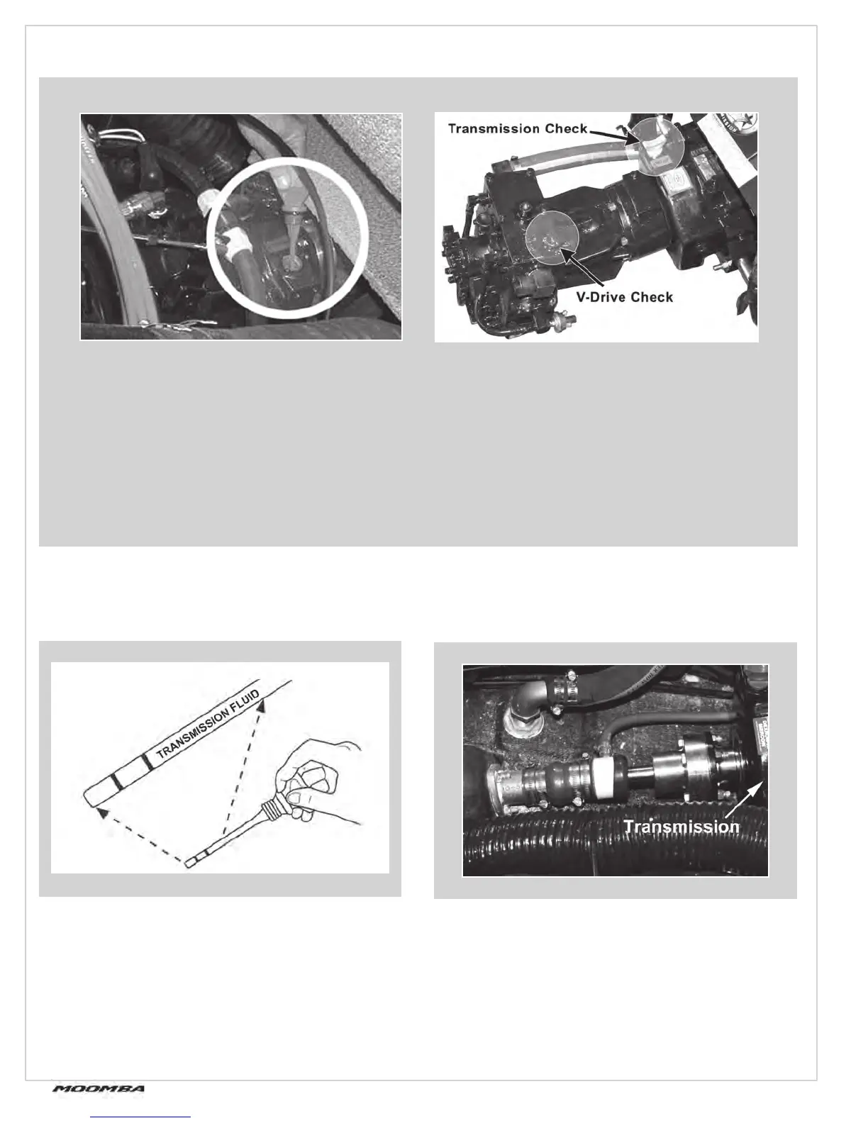 Page #66 background image