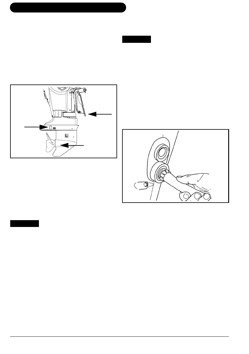 Page #48 background image