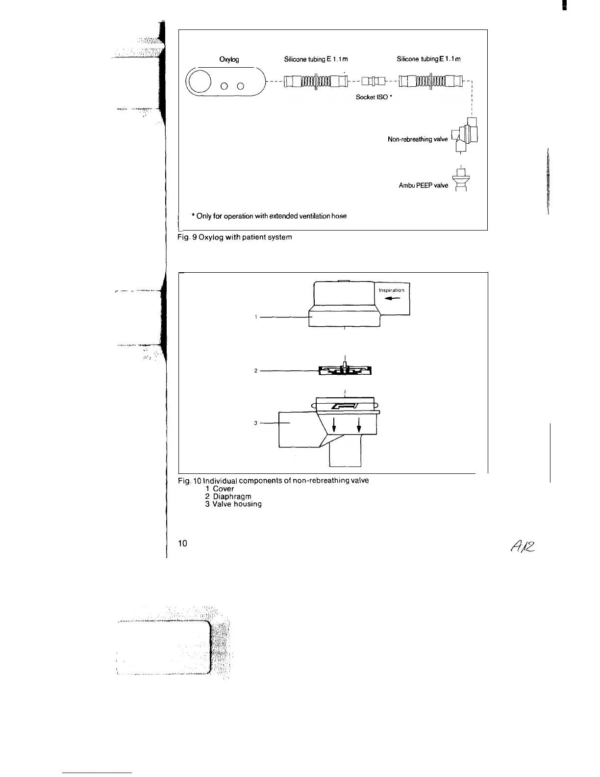 Page #10 background image