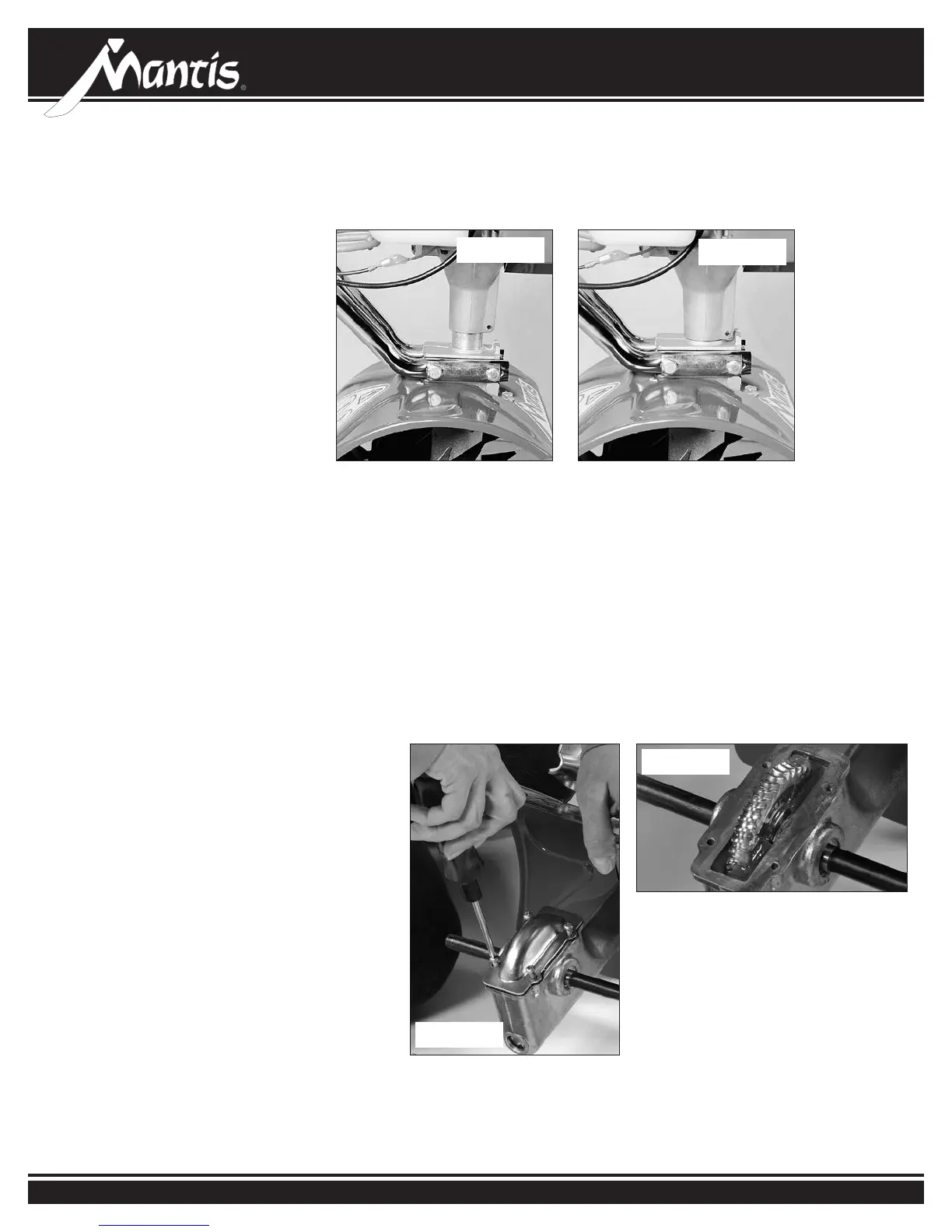 Page #36 background image