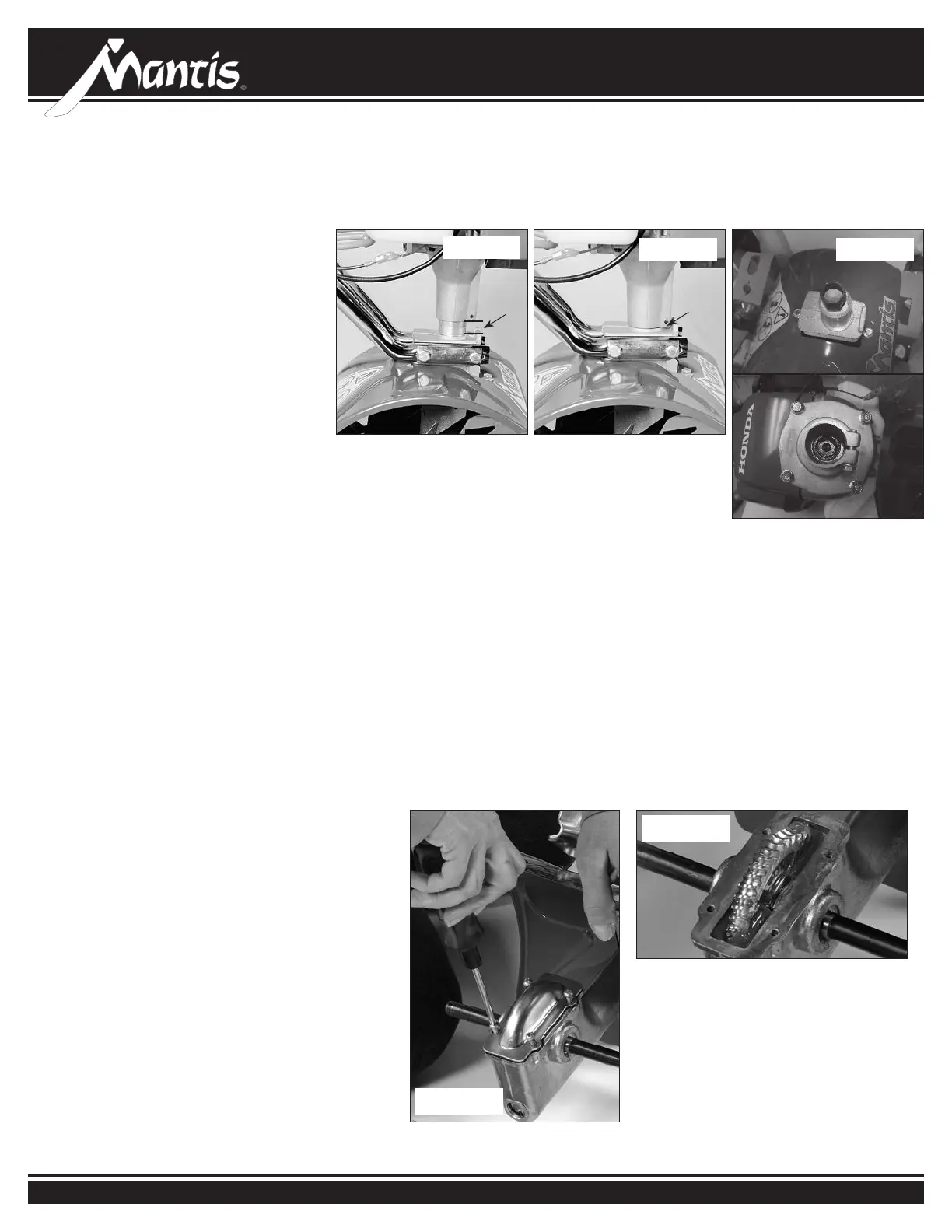 Page #16 background image