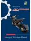 Preview: Workshop Manual
