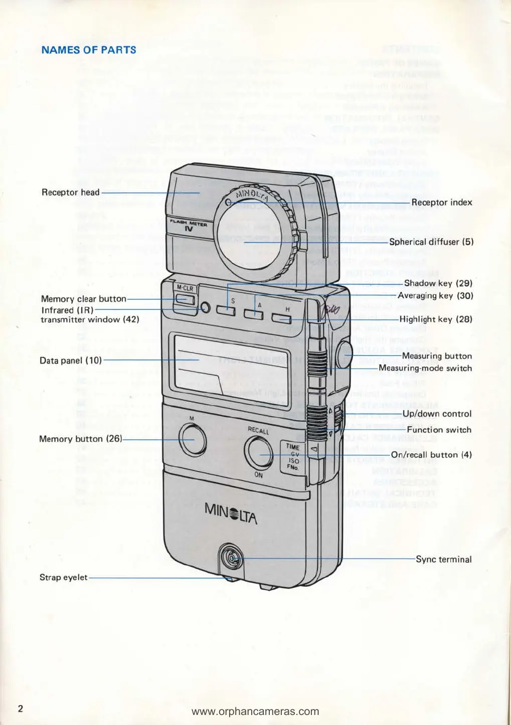 Page #5 background image