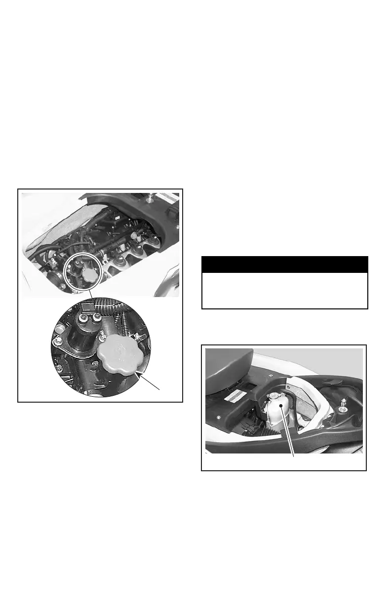 Page #61 background image