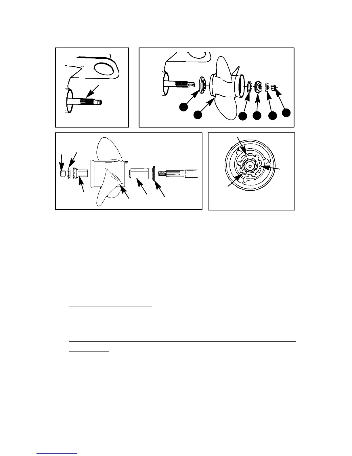 Page #50 background image