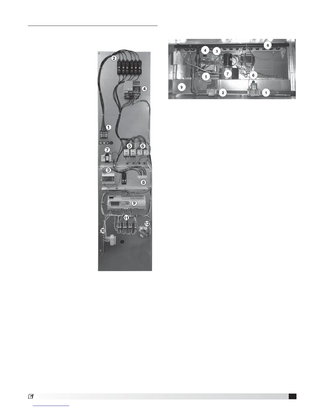 Page #11 background image