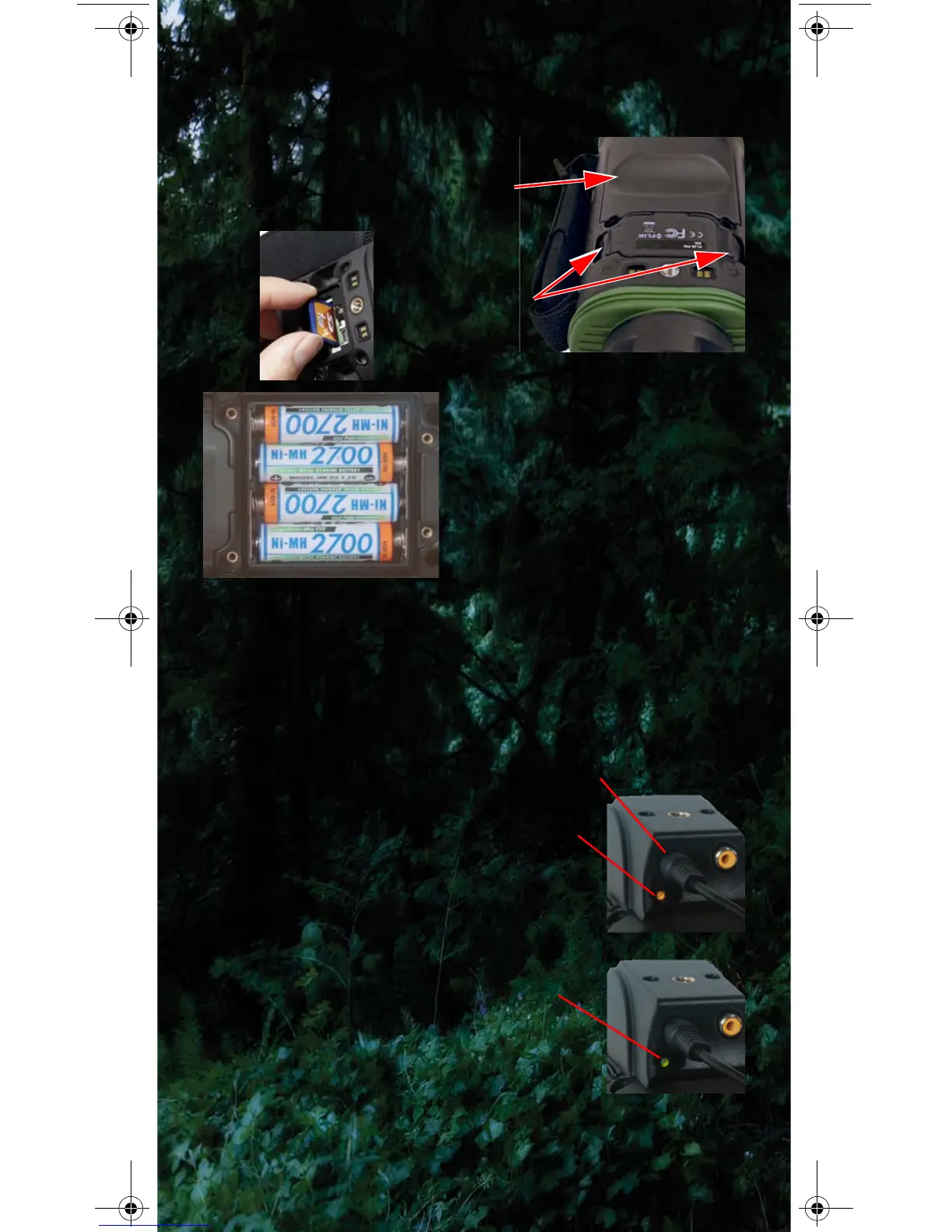 Page #2 background image