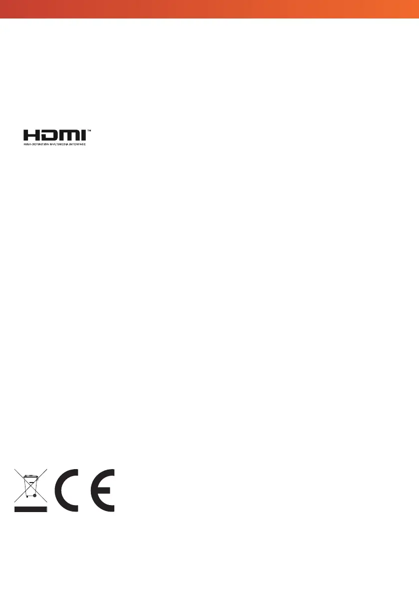 Page #65 background image