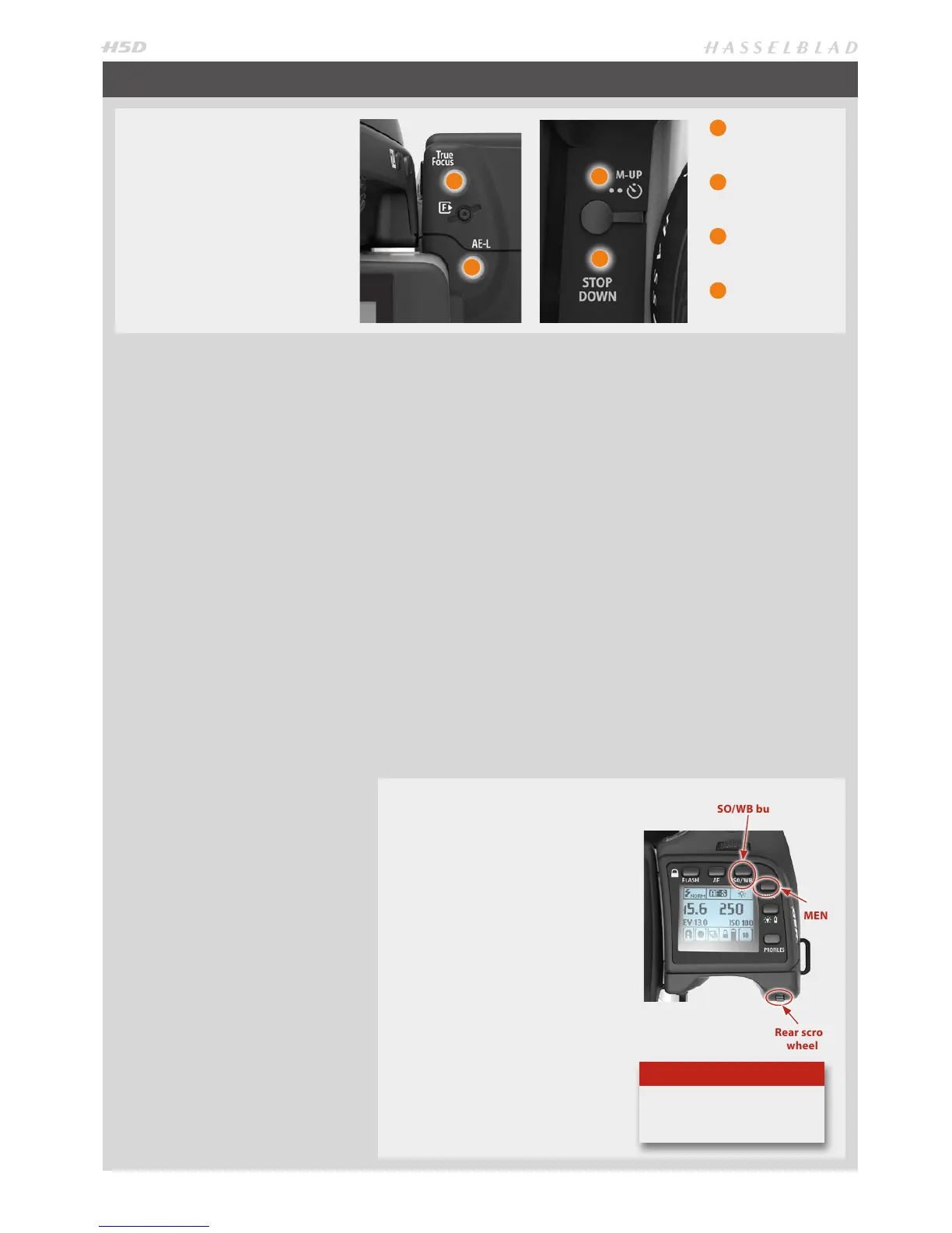 Page #16 background image