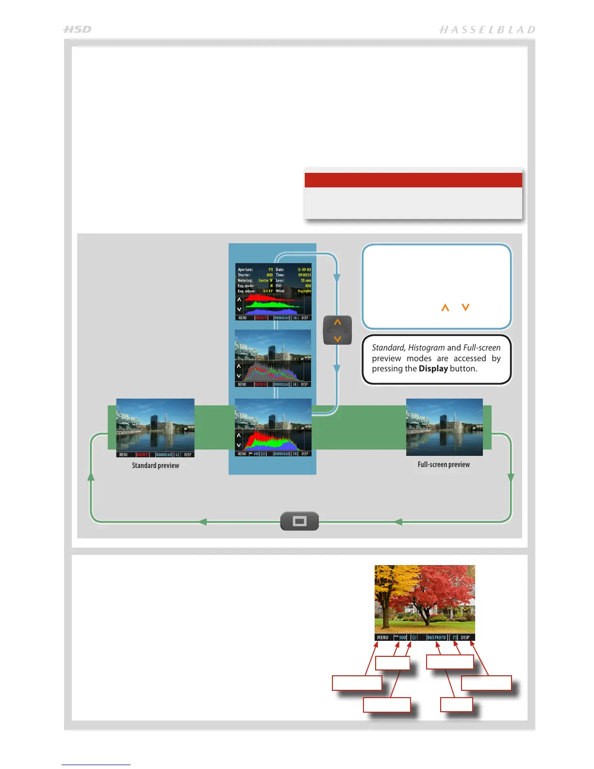 Page #53 background image