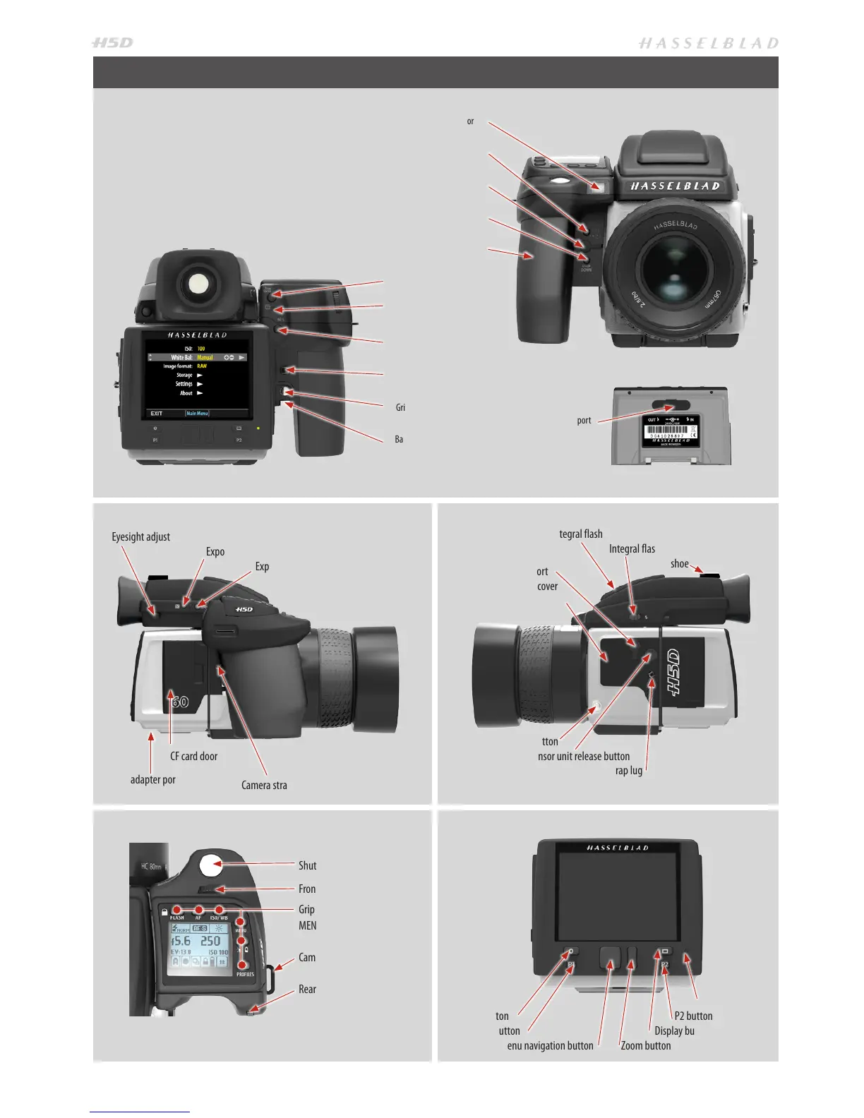 Page #7 background image