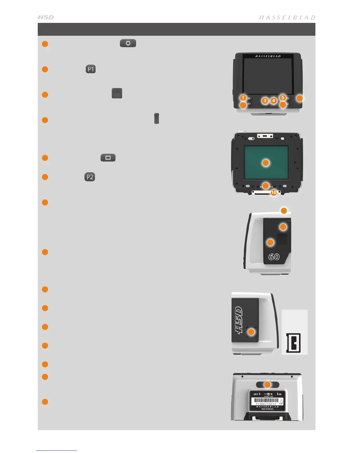 Page #10 background image