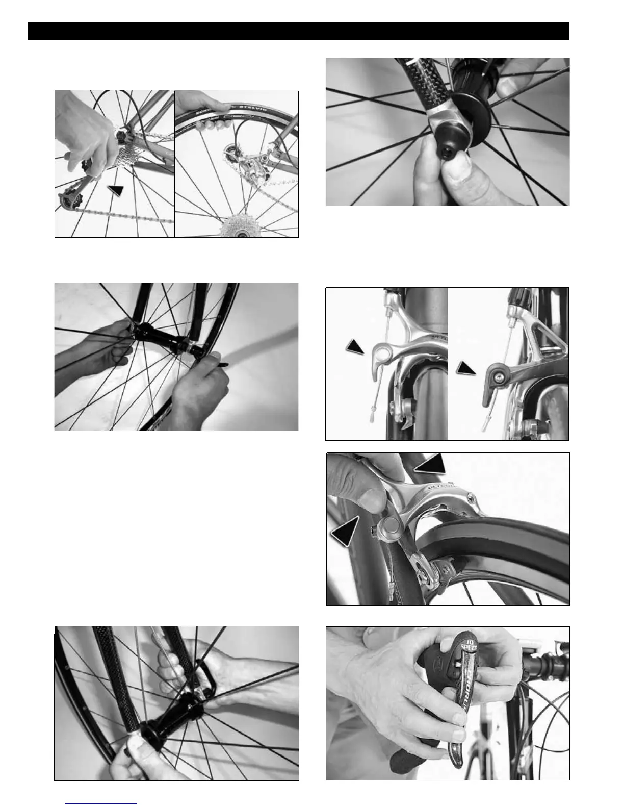 Page #59 background image