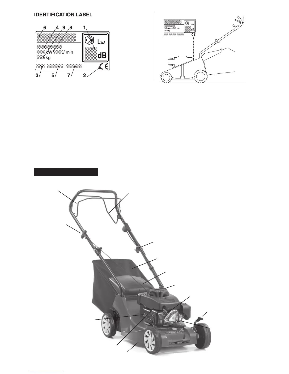 Page #4 background image