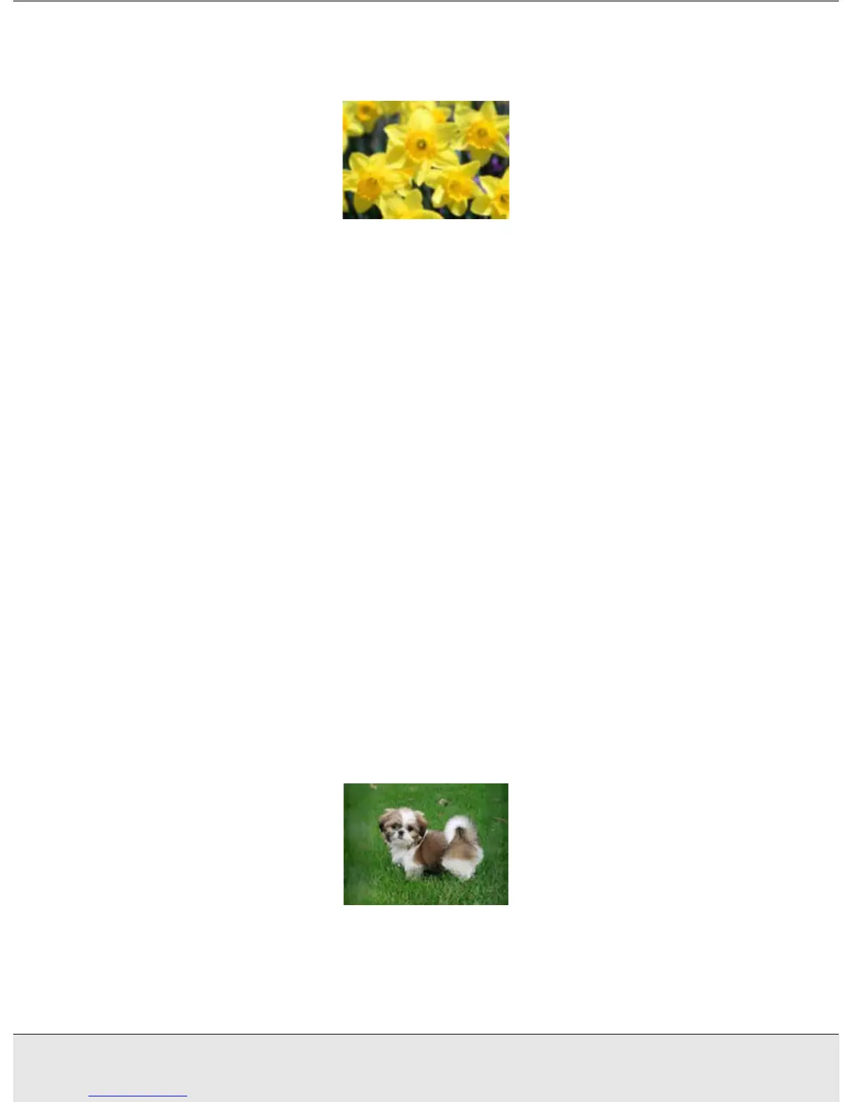 Page #61 background image