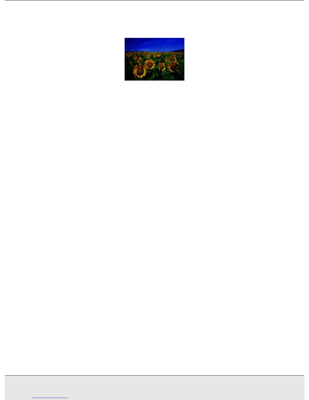 Page #62 background image