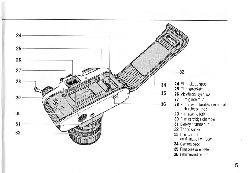 Page #5 background image