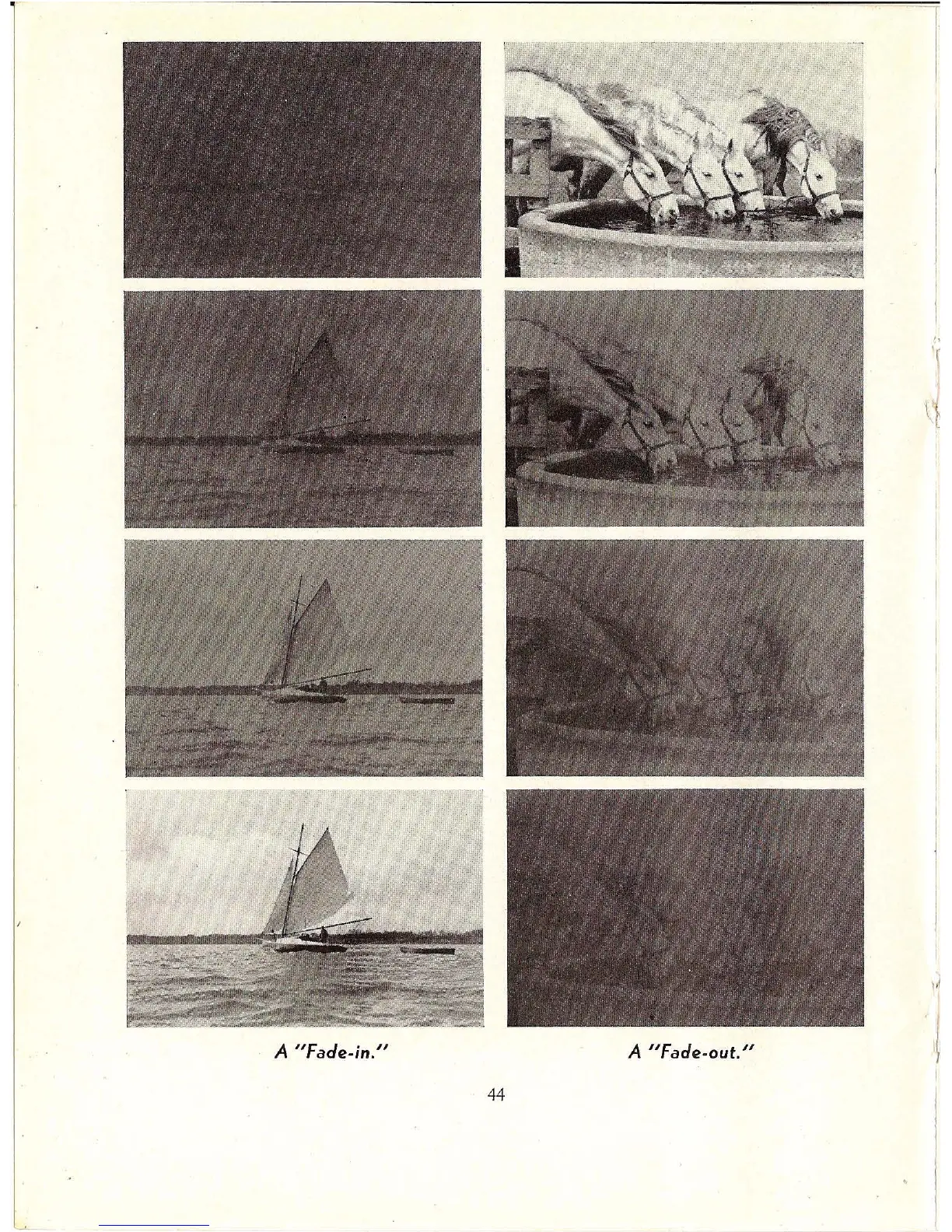 Page #46 background image
