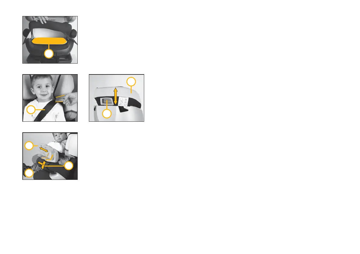 Page #48 background image