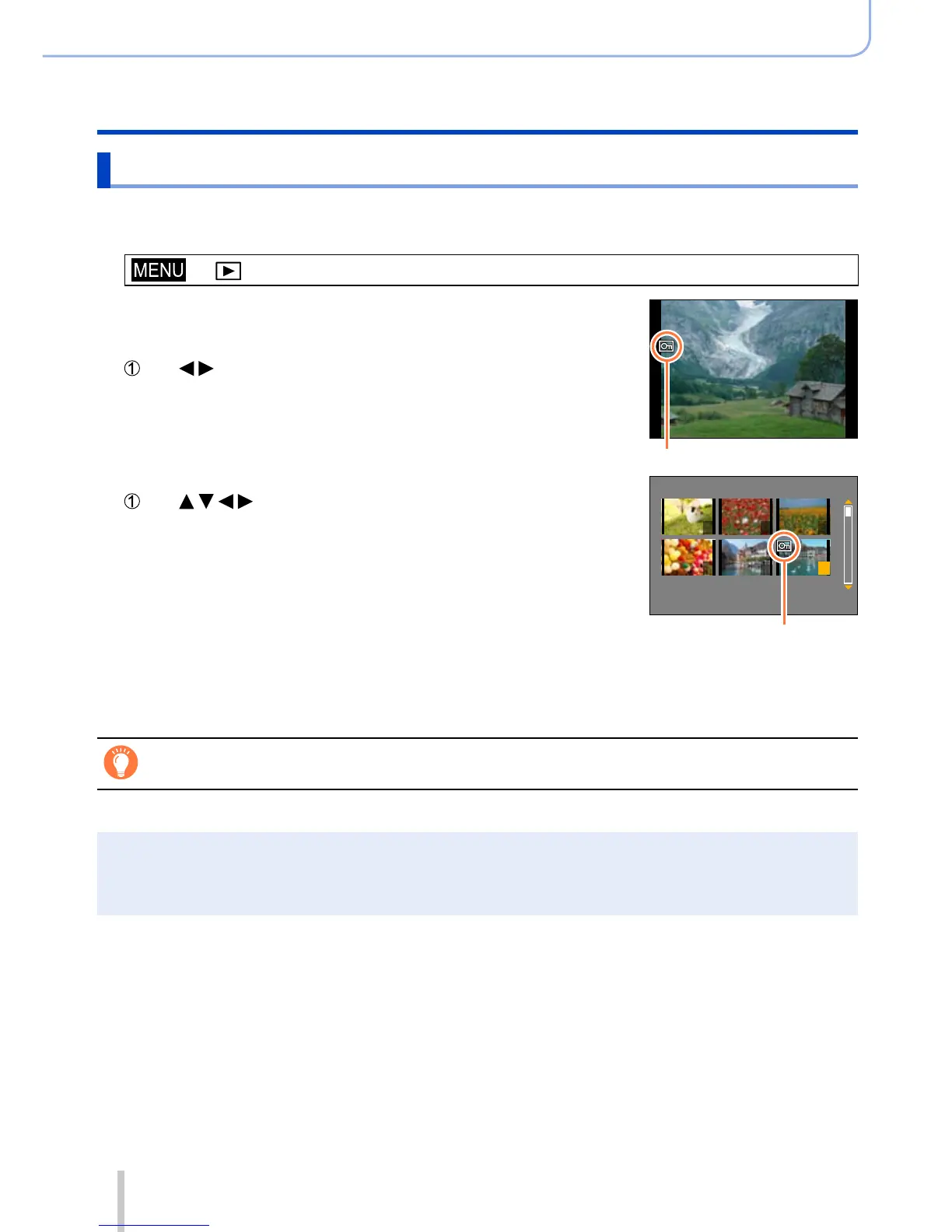 Page #221 background image