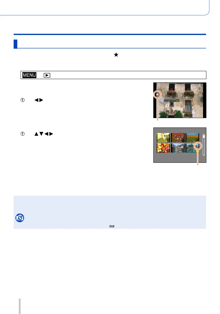 Page #219 background image