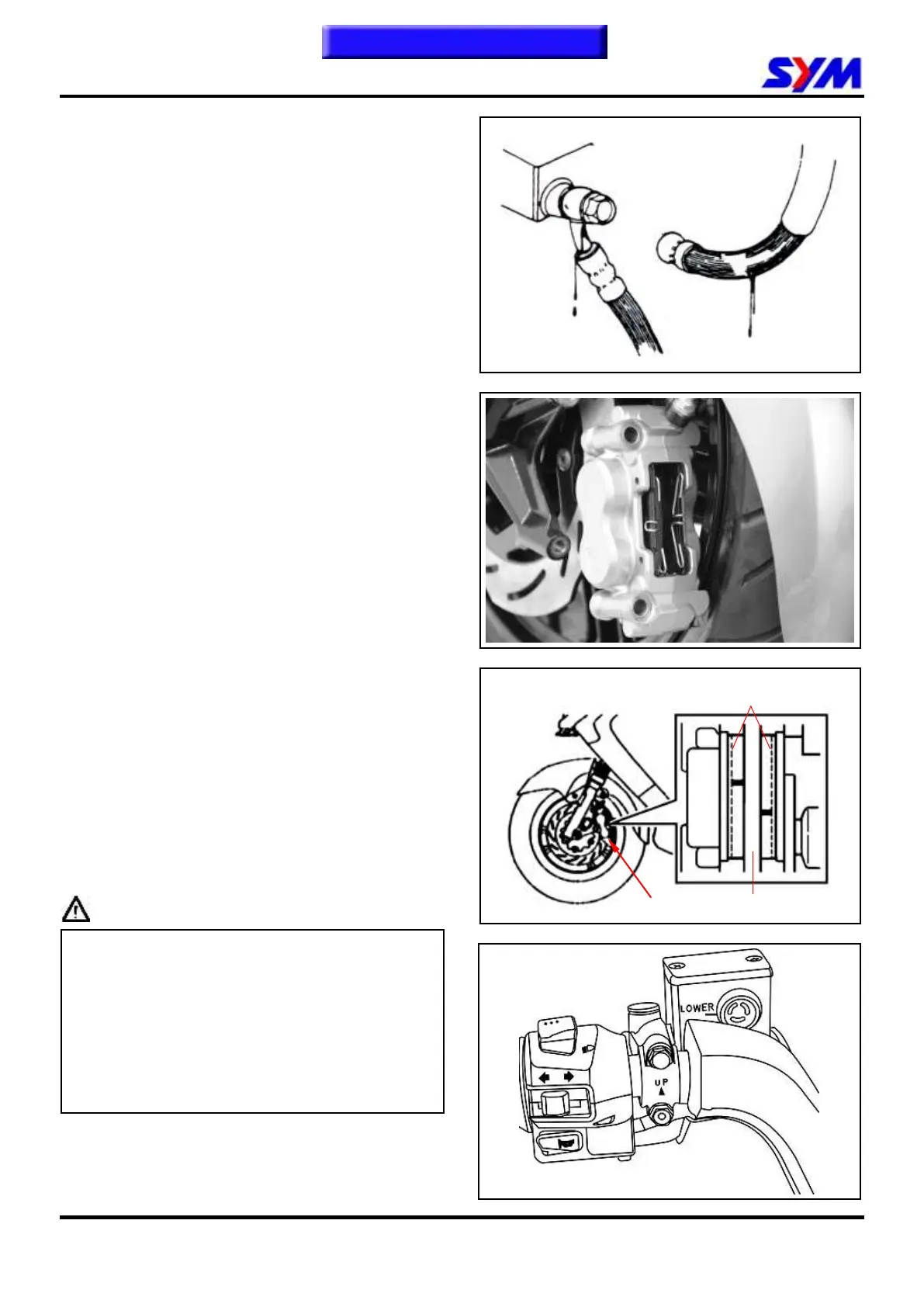 Page #223 background image