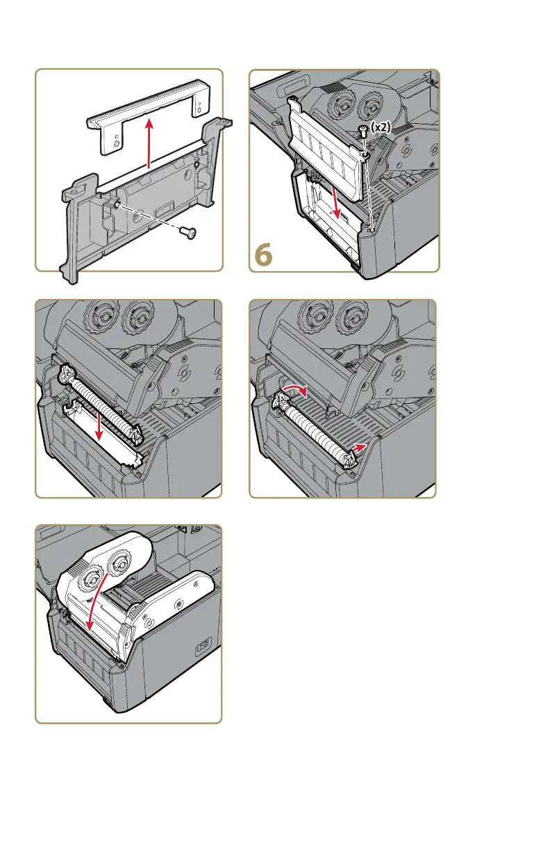 Page #5 background image
