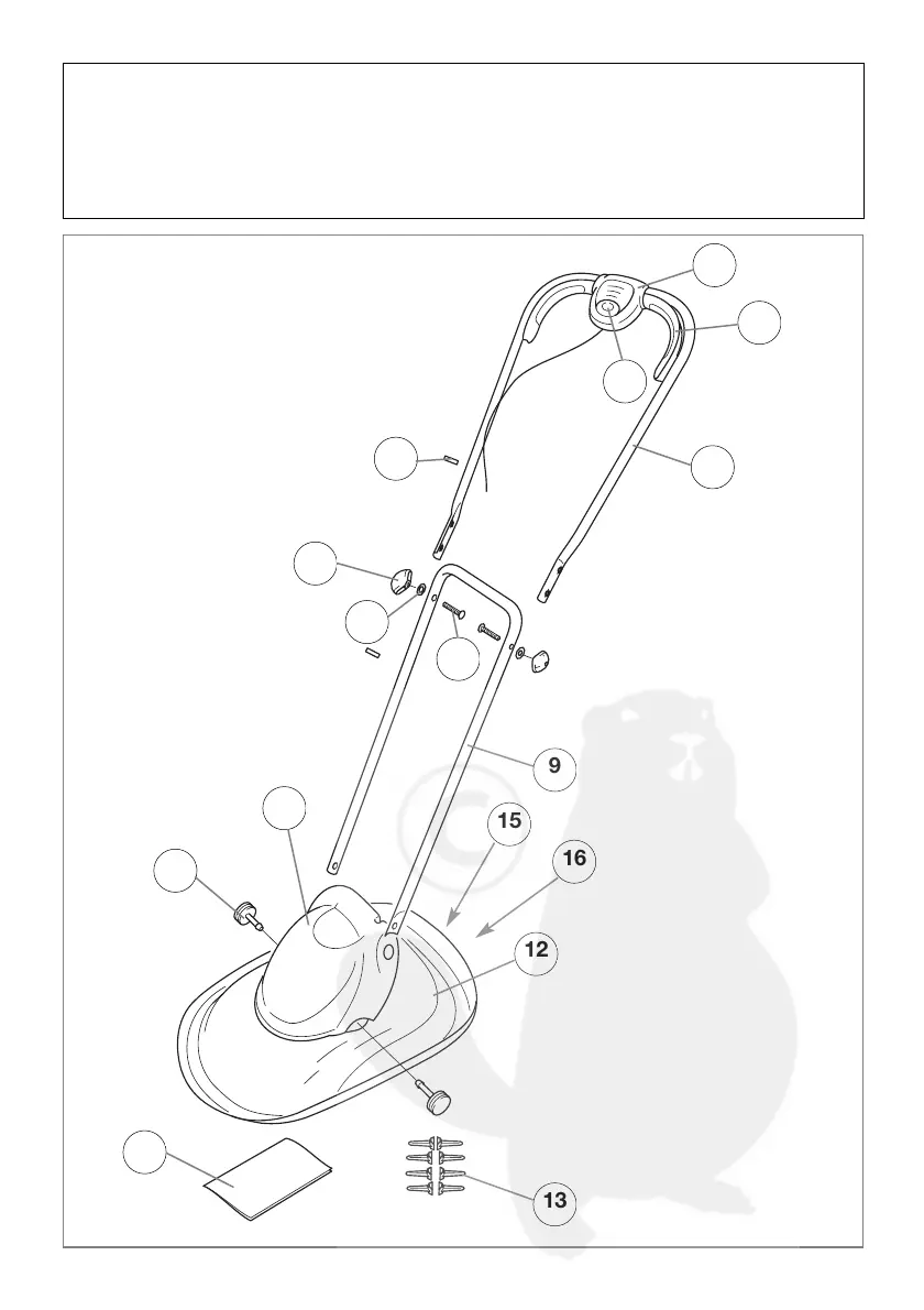 Page #5 background image