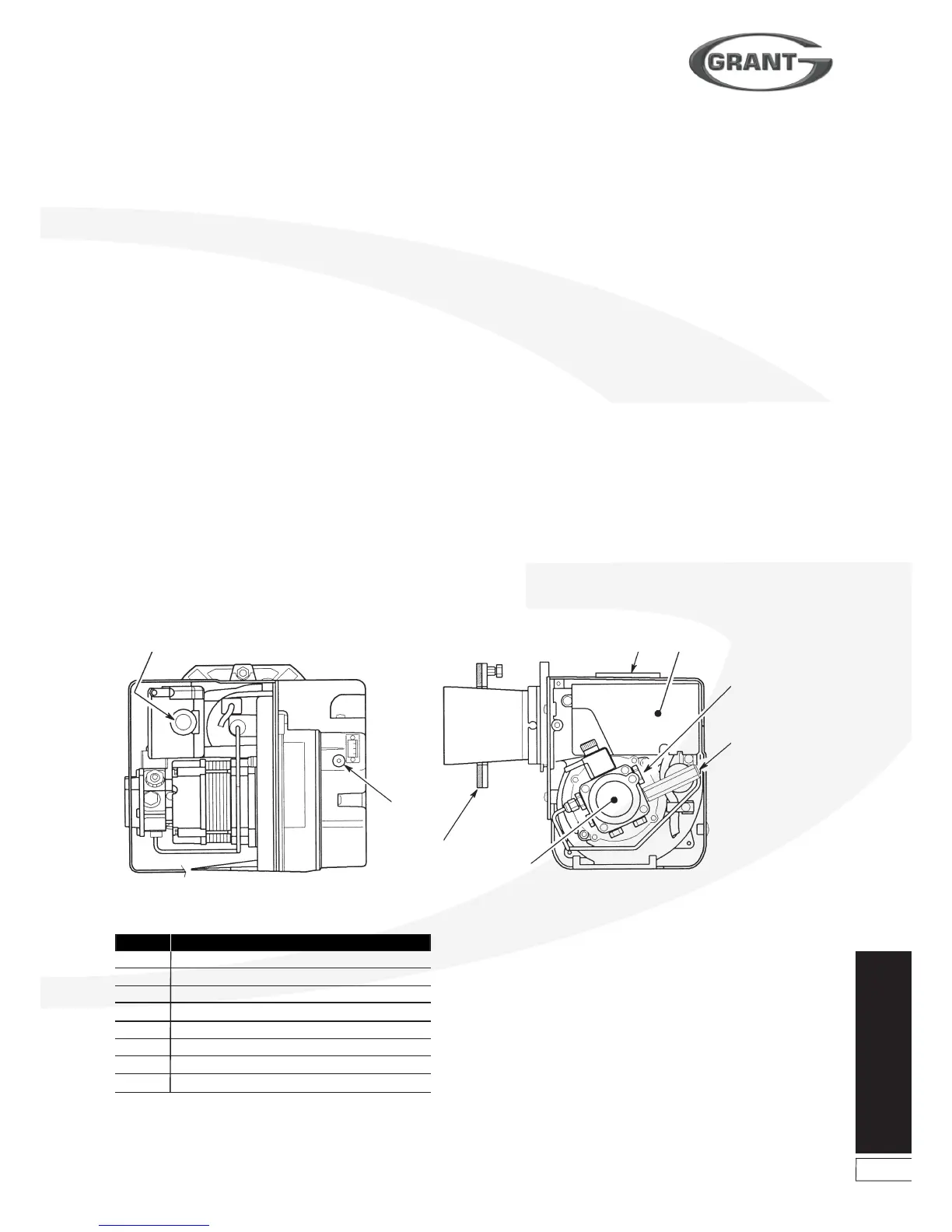 Page #13 background image