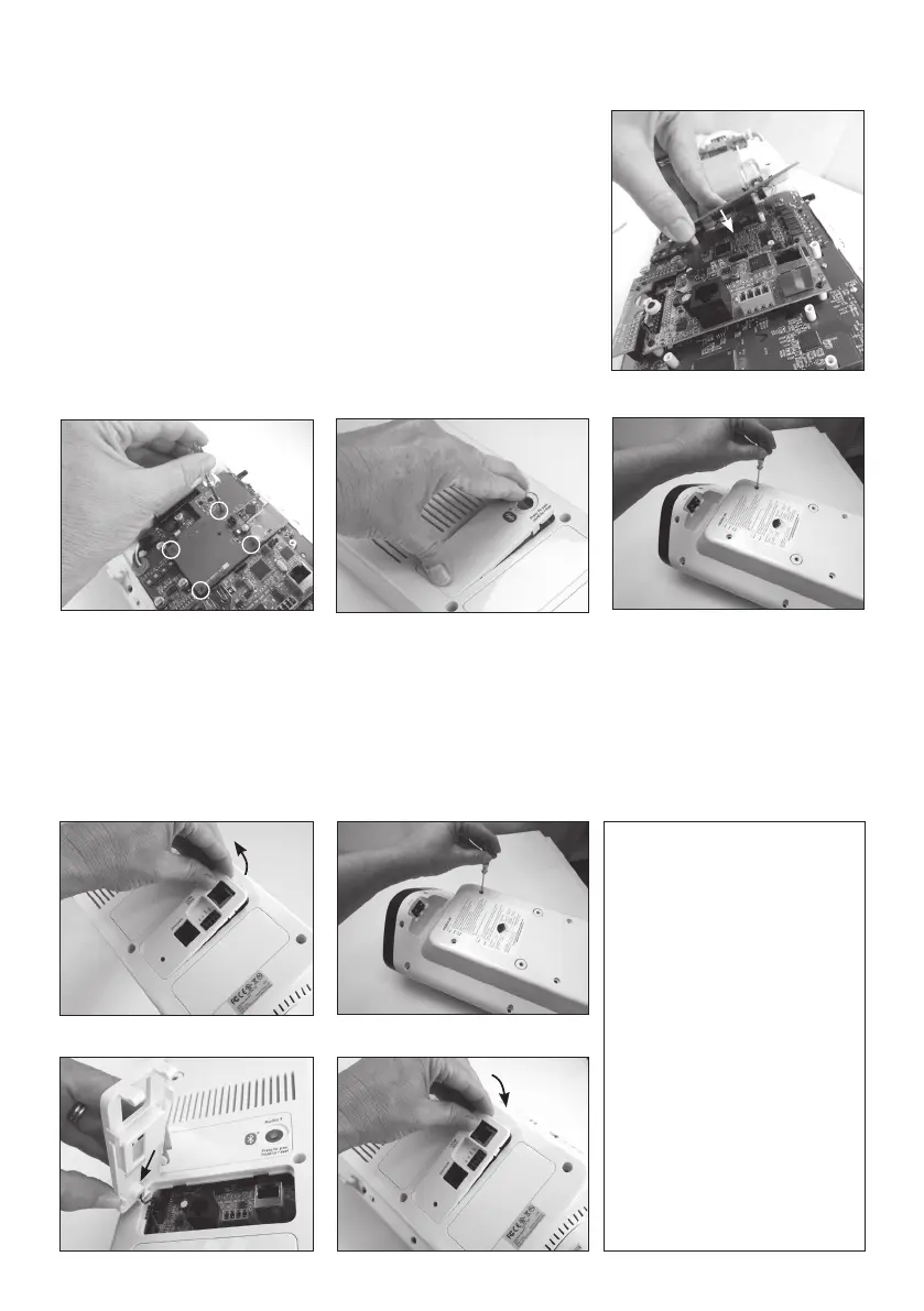 Page #2 background image