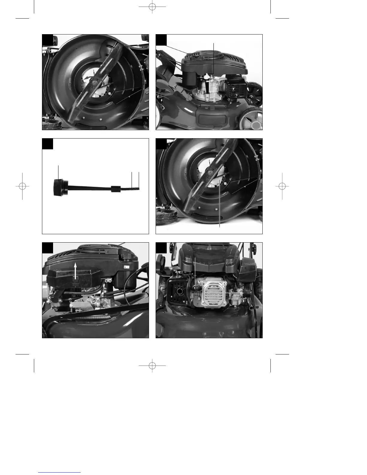Page #5 background image