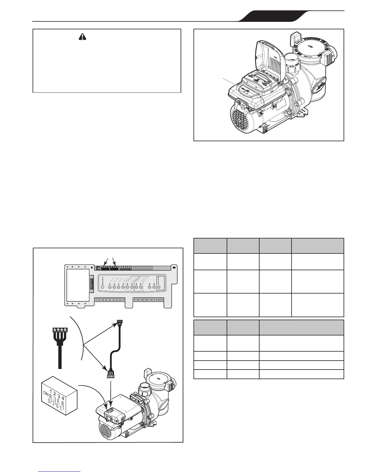 Page #61 background image