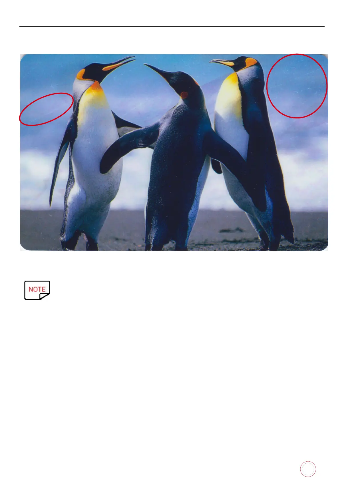 Page #250 background image