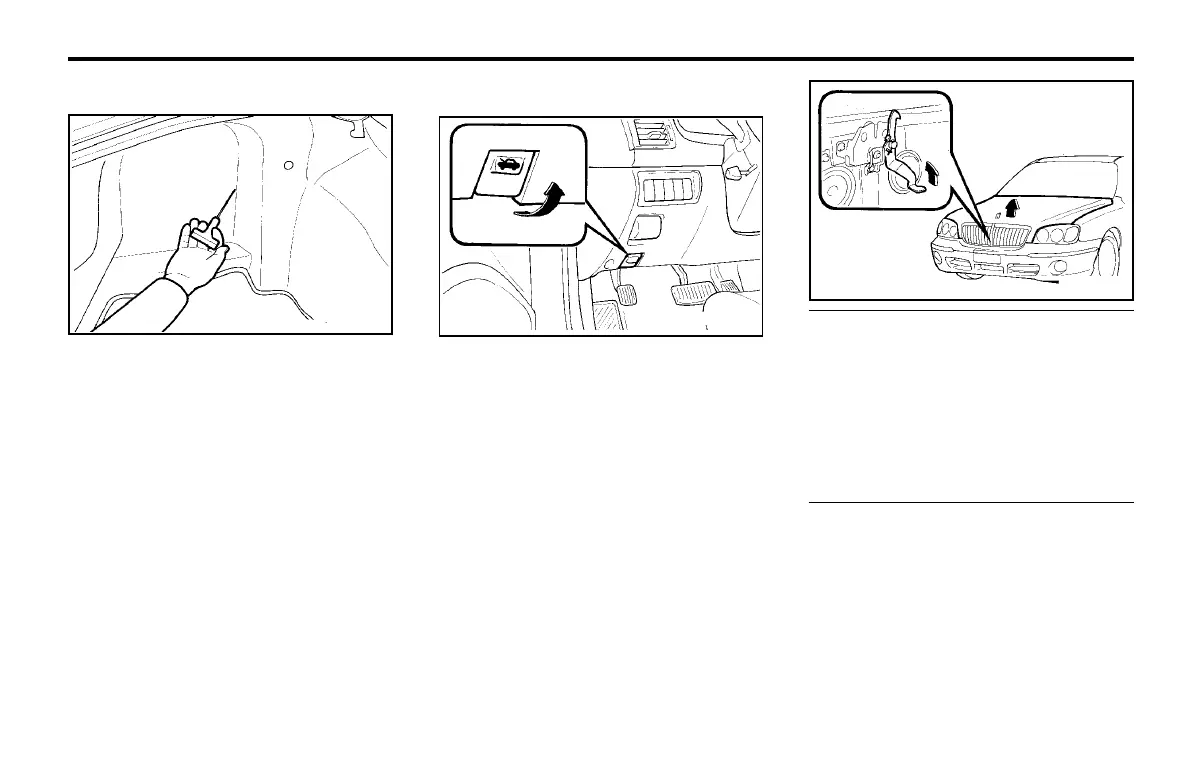 Page #55 background image