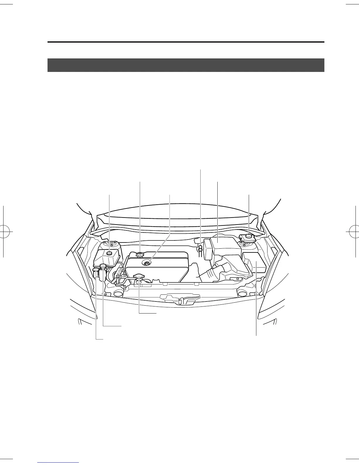 Page #351 background image