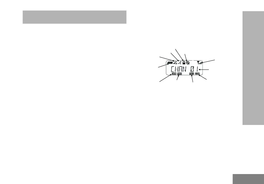 Page #281 background image