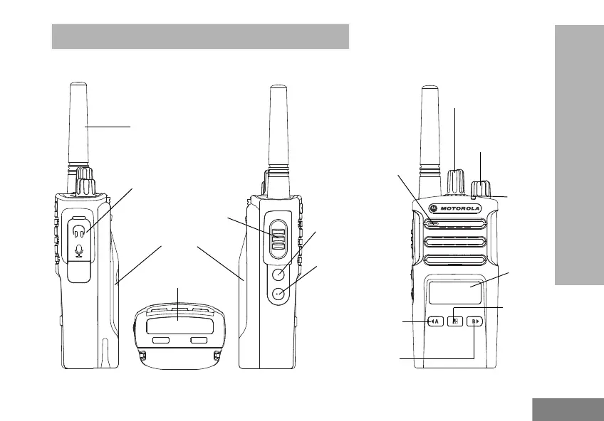 Page #397 background image