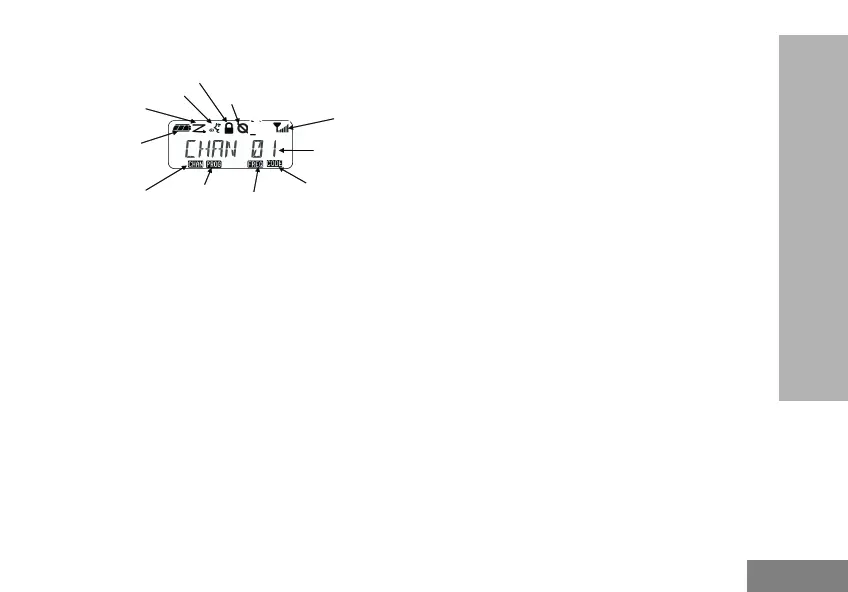 Page #925 background image