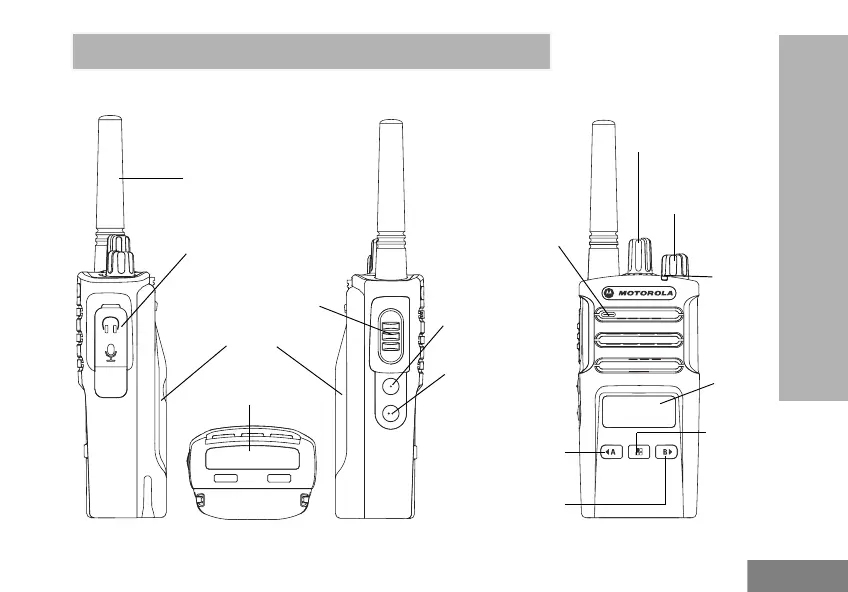 Page #203 background image