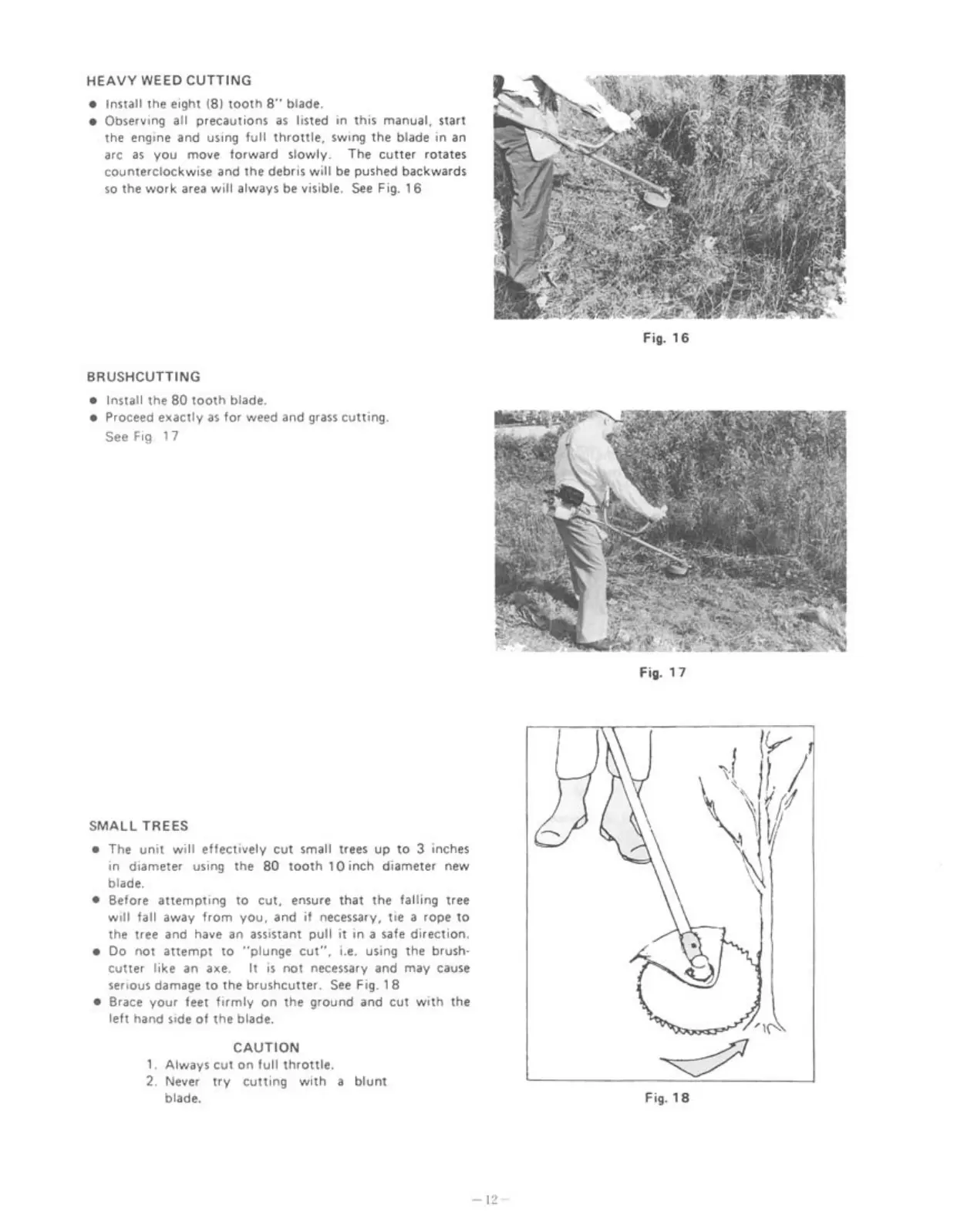 Page #13 background image