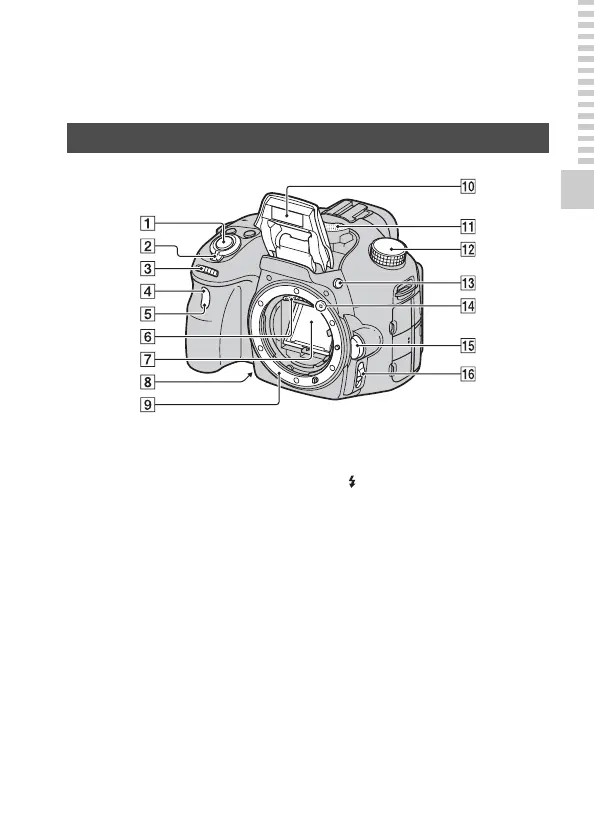 Page #13 background image