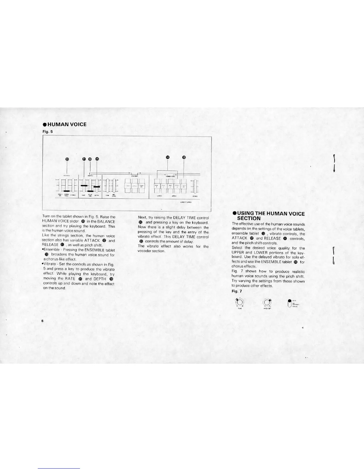 Page #6 background image