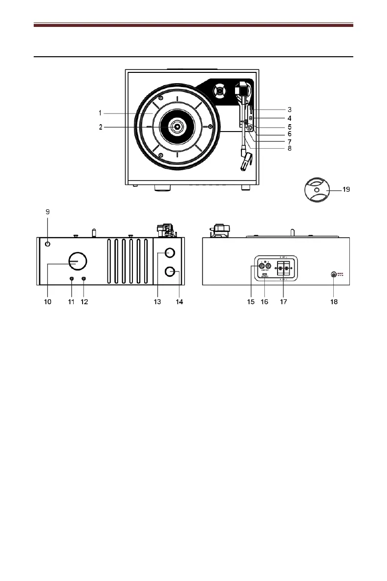 Page #4 background image