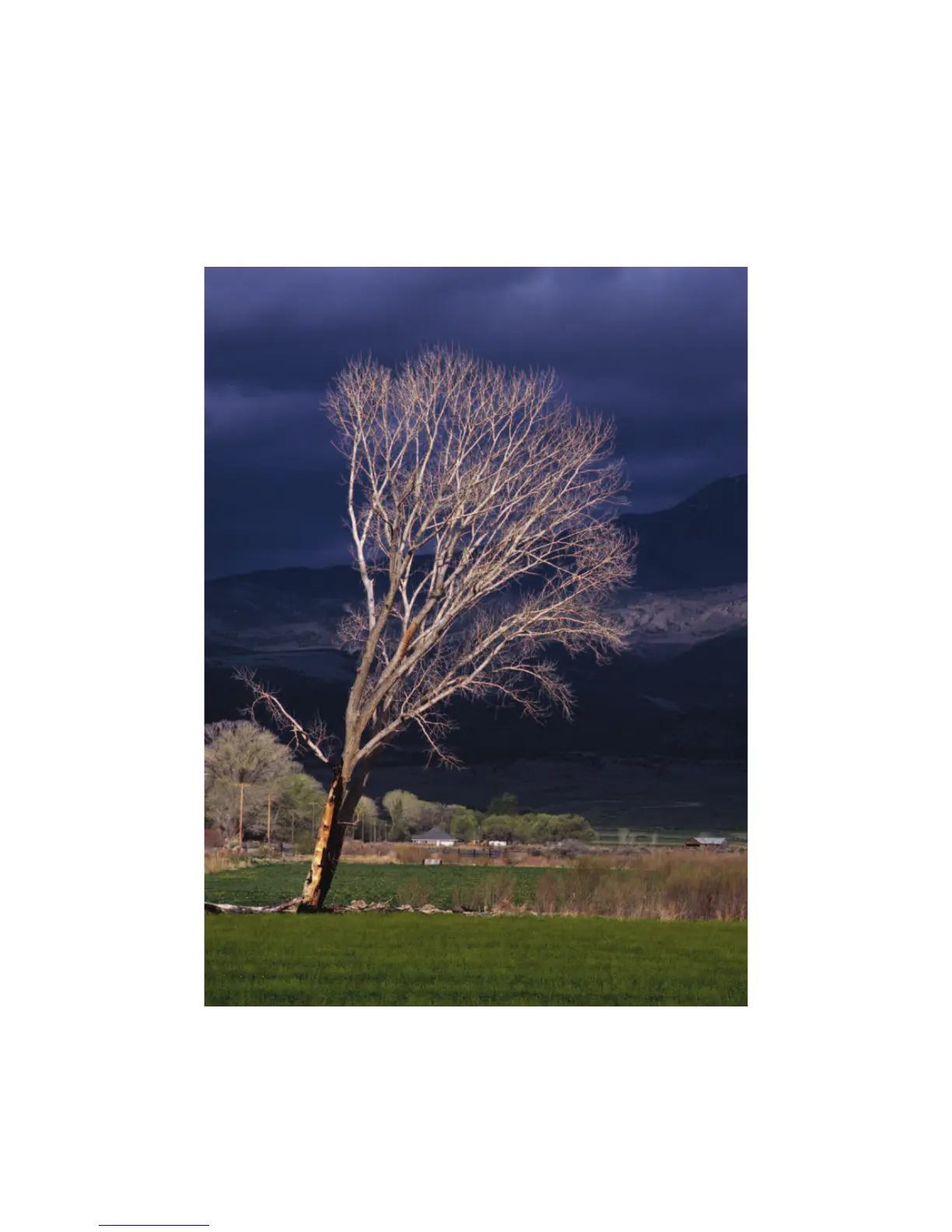 Page #302 background image