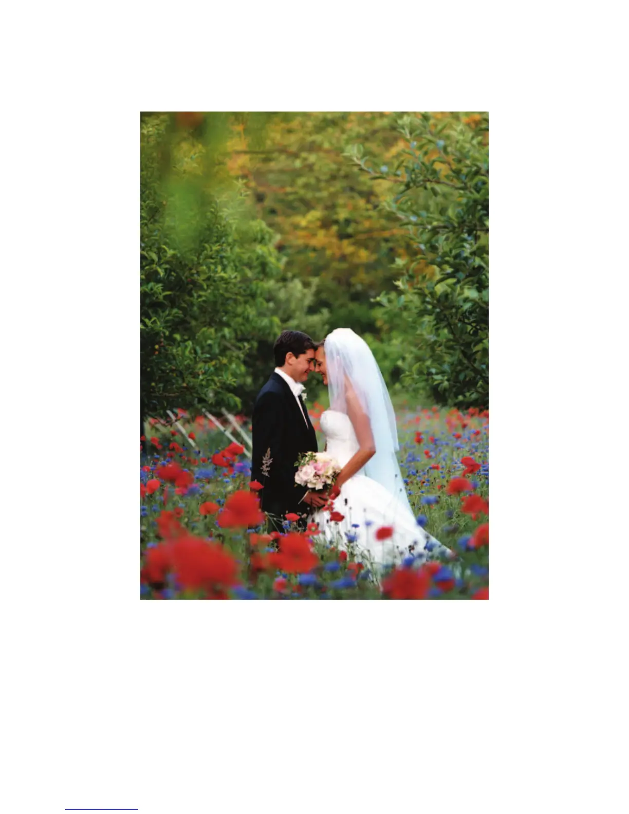 Page #326 background image