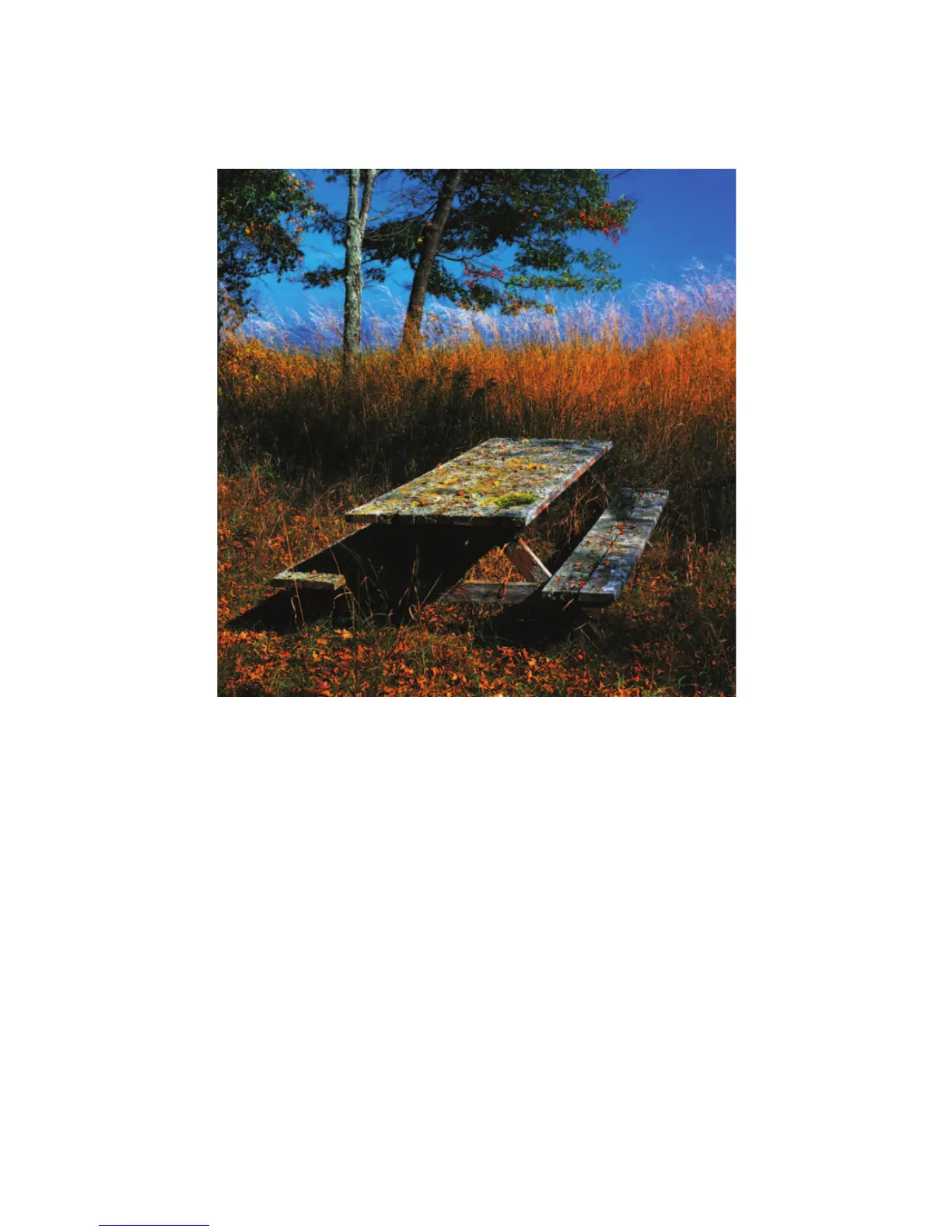 Page #327 background image