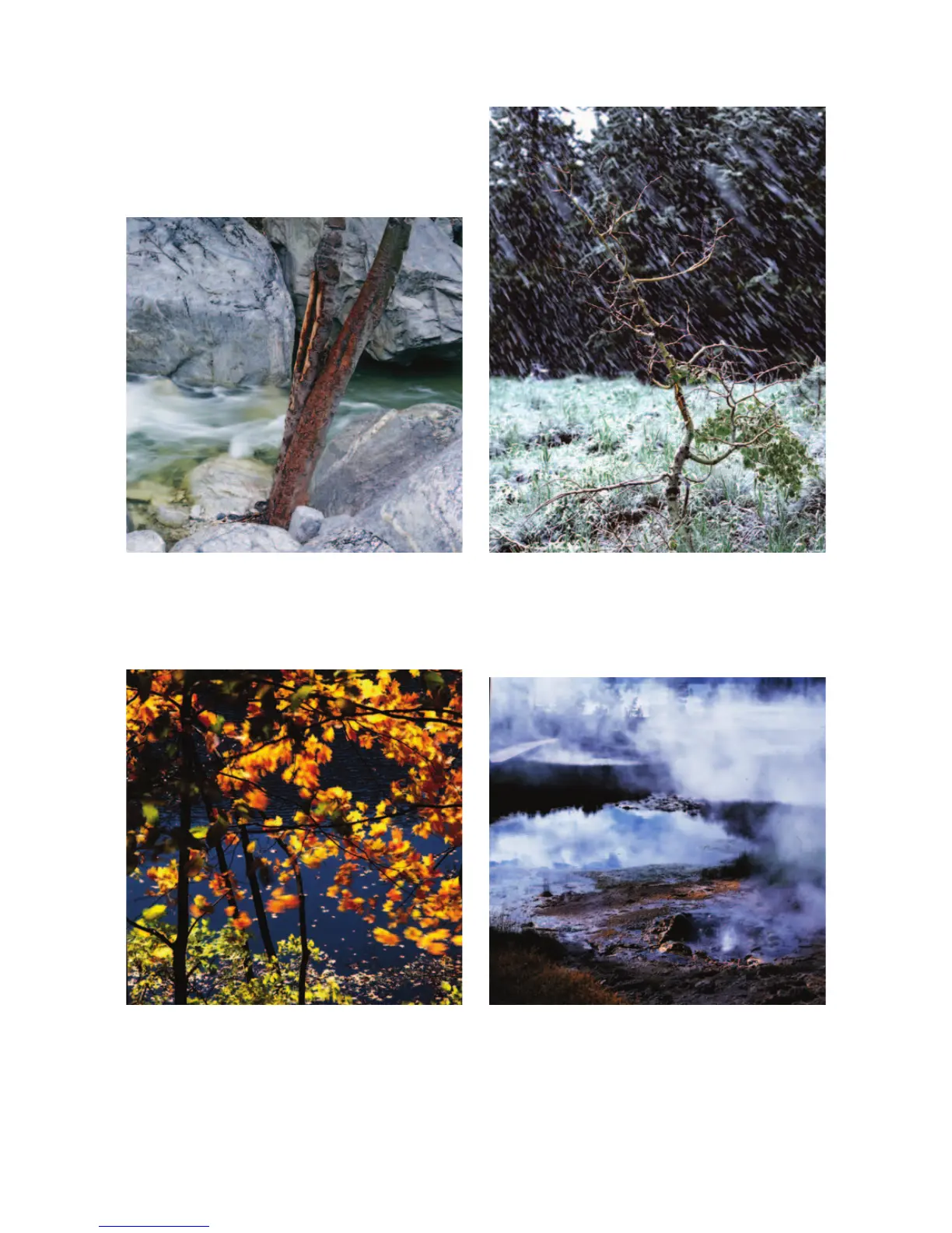 Page #330 background image