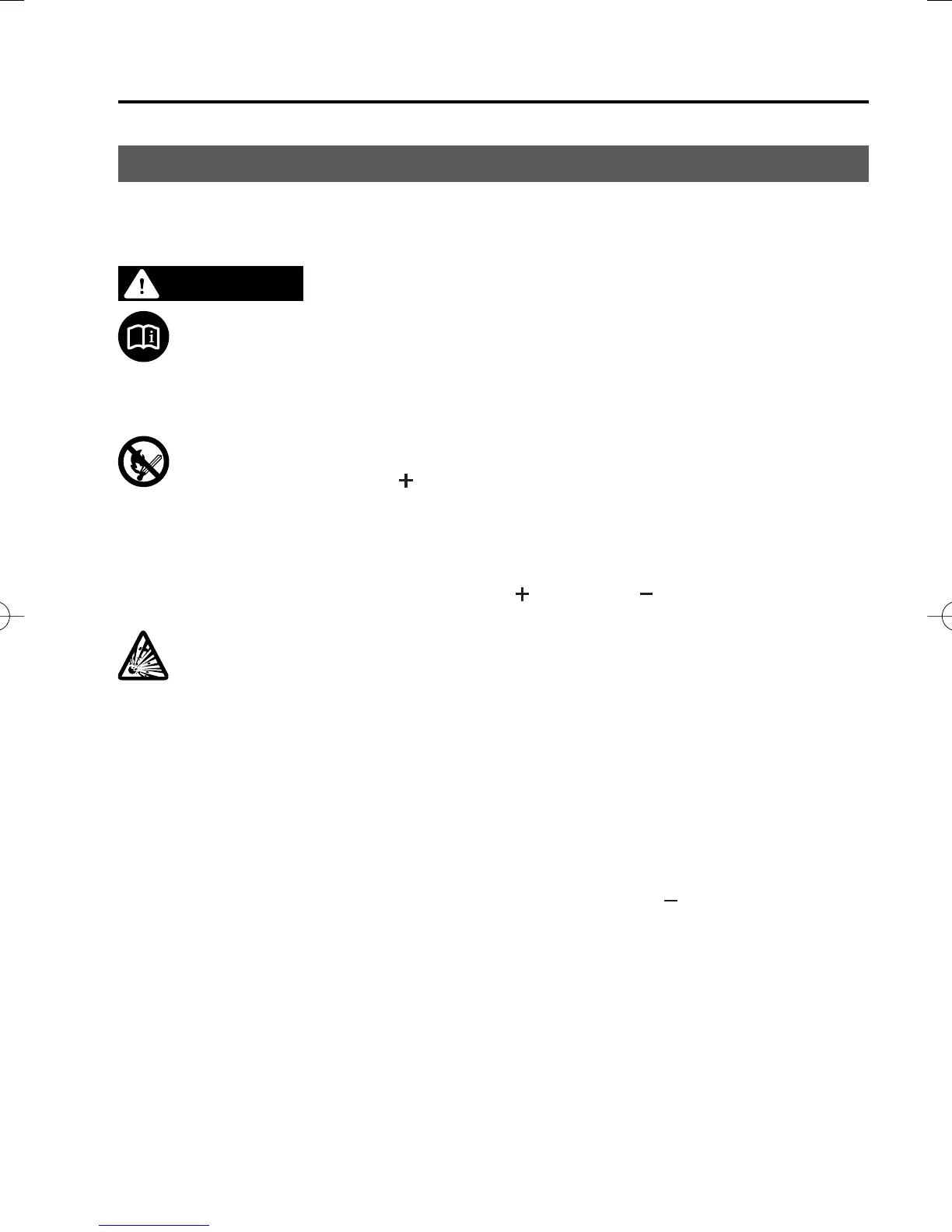 Page #487 background image